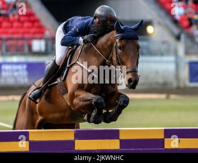 Ein professioneller Pferdesport auf einem braunen Pferderennen während der Sydney Agricultural Show Stockfoto