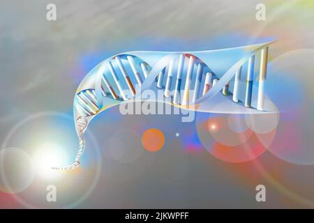 Doppelhelix der DNA mit den Nukleotidbasen: Adenin, Thymin, Cytosin und Guanin. Stockfoto