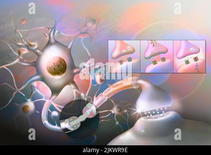 Nervenimpuls: Neuronales Netzwerk des zentralen Nervensystems mit Zoom auf Ranviers Knoten. Stockfoto