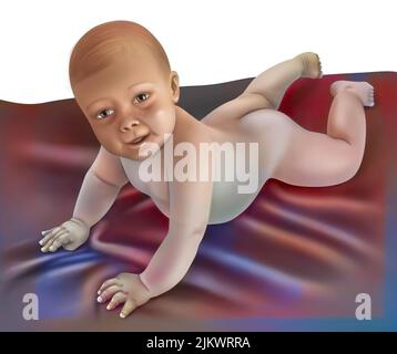 Baby auf allen Vieren 2 bis 3 Monate. Stockfoto