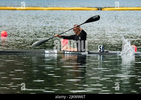 Dartmouth, Kanada. 3.. August 2022. Die neuseeländische Olympiasiegerin Lisa Carrington gewinnt beim Frauen-K1 500m-Rennen bei der Weltmeisterschaft ihren Qualifikationslauf, um die Woche gut zu starten. Später in dieser Woche geht sie nun ins Halbfinale. Die ICF Kanurennsport- und Paracanoe-Weltmeisterschaft 2022 findet dieses Jahr vom 3. Bis 7. August auf dem Lake Banook in Dartmouth (Halifax) statt. Kredit: Meanderingemu/Alamy Live Nachrichten Stockfoto