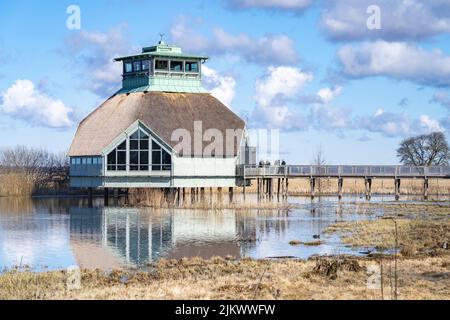 Besuchen Sie Centre Naturum und Vogelbeobachtung Naturschutzgebiet See Hornborga. Stockfoto