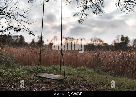 Alte verlassene Holzschaukel im Wald mit schöner Aussicht Stockfoto