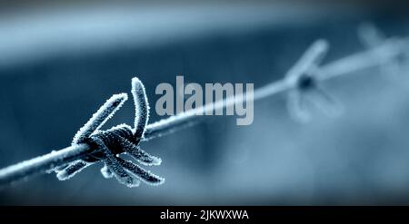 Eine selektive Fokusaufnahme eines frostbedeckten Stacheldrahtzauens mit blauem Bokeh an einem kühlen Wintertag Stockfoto