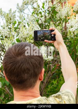 Der Mann schießt weiße Fliederblüten auf sein Mobiltelefon, Blick von hinten. Nahaufnahme, selektiver Fokus. Natürlicher Hintergrund und Verwendung von Technologie im Freien Stockfoto