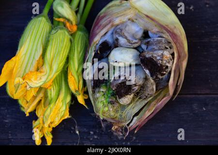 Huitlacoche-Pilze mit Kürbisblüten, auf einem rustikalen Hintergrund Stockfoto