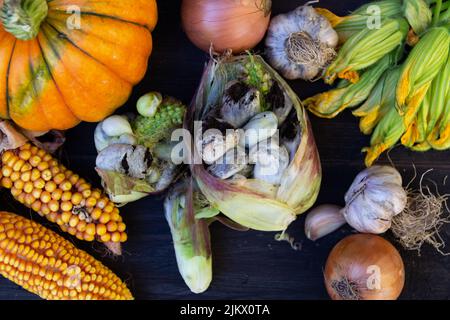 Tisch mit Zutaten zum Kochen der Huitlacoche Stockfoto