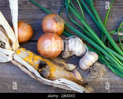 Tisch mit Zutaten zum Kochen der Huitlacoche Stockfoto