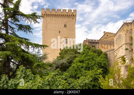 Avignon, der papstpalast, schönes Denkmal im Süden Frankreichs Stockfoto