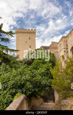 Avignon, der papstpalast, schönes Denkmal im Süden Frankreichs Stockfoto