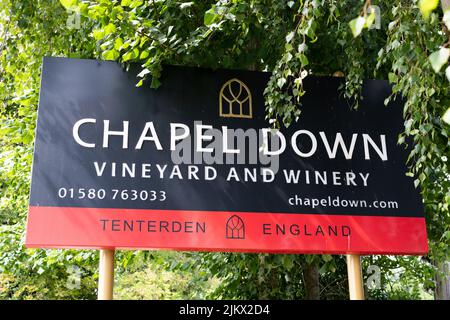 Chapel Down Vineyard and Winery, Tenterden, Ashford, Kent, England, VEREINIGTES KÖNIGREICH Stockfoto