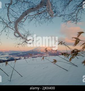 Eine malerische Aussicht auf den Berg Yotei, Niseko, Japan im Winter Stockfoto