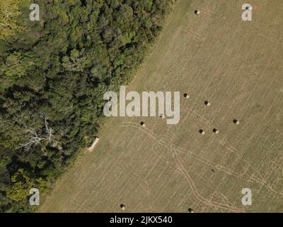 Ein Blick aus der Vogelperspektive auf Heuballen auf einem grünen Feld in der Nähe von Bäumen an einem sonnigen Tag Stockfoto