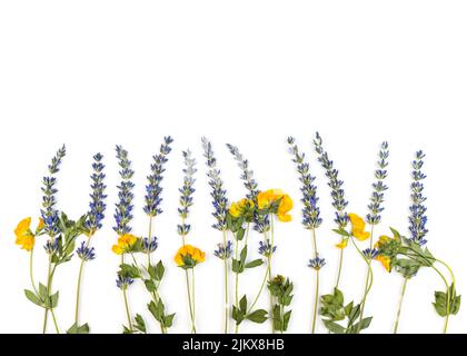 Oshibana Floristik botanisch gepresste Blumenkunst. Boho Stil Komposition von trockenen Pflanzen. Lavendelrahmen auf weißem Hintergrund. Speicherplatz kopieren Stockfoto