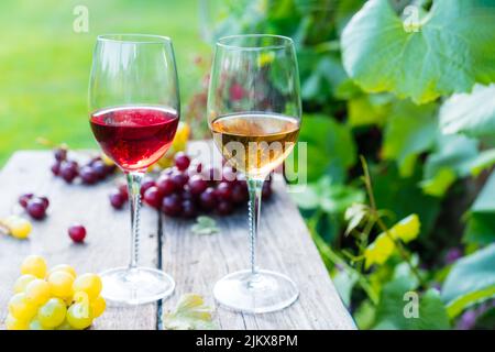 Gläser mit Weiß- und Rotwein und Traubenbeeren auf dem Holztisch in den Weinbergen, Weingut mit grünem Blatthintergrund. Weinprobe, Degustation Stockfoto