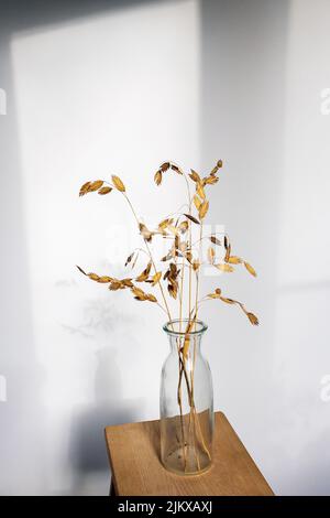 Bromus secalinus in einer transparenten Vase auf einem Holztisch an einer weißen Wand mit einem Fensterschatten. Für Text platzieren. Bereit Layout. Vertikaler Rahmen Stockfoto