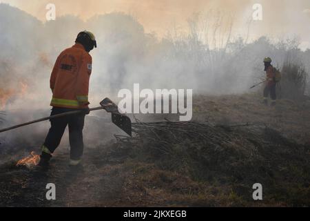 Brasilia, Brasilien. 03. August 2022. DF - Brasilia - 08/03/2022 - BRASILIA, FEUERWEHRLEUTE HABEN IM ZENTRUM VON BRASILIA Feuer GEWORFEN - Feuerwehrleute werden gesehen, wie sie das Feuer im zentralen Bereich von Brasilia am Mittwoch, den 03. August, kontrollieren. Foto: Mateus Bonomi/AGIF/Sipa USA Quelle: SIPA USA/Alamy Live News Stockfoto