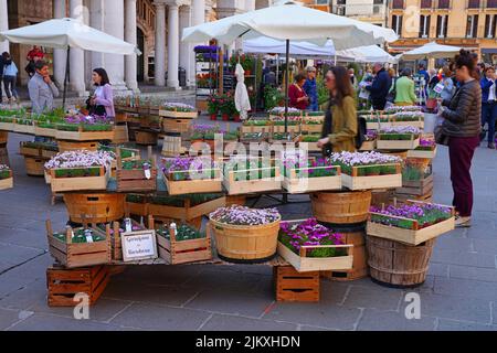 VICENZA, ITALIEN -14 APR 2022- Blick auf den jährlichen Blumenmarkt im April in Vicenza, Venetien, Italien, einem UNESCO-Weltkulturerbe. Stockfoto