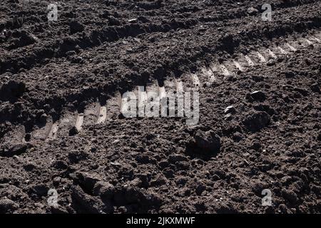 Kultivierter gepflügelter Boden mit Reihen und Traktor-Fußabdruck. Struktur des landwirtschaftlichen Hintergrunds Stockfoto