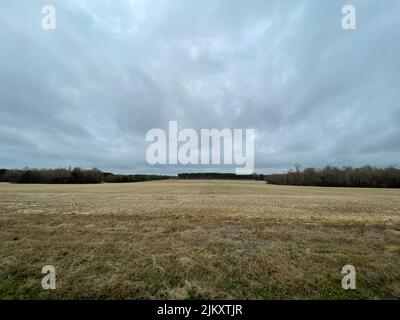 Burke County, GA USA - 12 27 21: Georgia Land Ackerland und Wolken Stockfoto