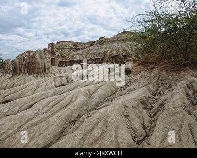 Eine wunderschöne Aufnahme des Dinosaur Provincial Parks unter dem wolkenlosen Himmel in Kanada Stockfoto