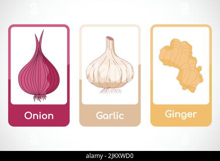 Gemüse-Karteikarten für Kinder. Pädagogische Karten für die Vorschule. Druckbare Vektorgrafik Stock Vektor