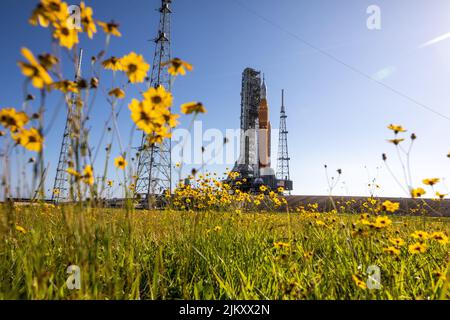 22. Juni 2022 - Florida, USA - mit Wildblumen rund um die Aussicht kommt die NASA-Mondrakete vom Space Launch System (SLS), die auf dem Crawler-Transporter 2 getragen wird, am 6. Juni 2022 auf dem Launch Pad 39B im Kennedy Space Center der Agentur in Florida an. Artemis I ist die erste in einer immer komplexeren Serie von Missionen und wird die SLS-Rakete und die Orion-Raumsonde als integriertes System testen, bevor sie mit der Besatzungsmacht zum Mond fliegen. Durch Artemis wird die NASA die erste Frau und erste farbige Person auf der Mondoberfläche landen, was den Weg für eine langfristige Mondpräsenz ebnet und den Mond als Steppingstone b nutzt Stockfoto