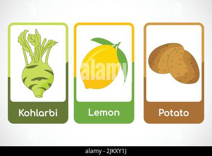 Gemüse-Karteikarten für Kinder. Pädagogische Karten für die Vorschule. Druckbare Vektorgrafik Stock Vektor