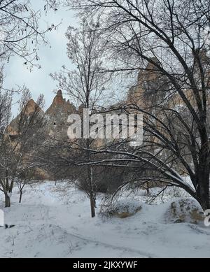 Bäume mit Schnee bedeckt Stockfoto