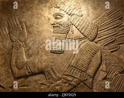 Geflügelte Gottheit. Fragment. Relief aus dem Palast von Ashurnasirpal II in Kalhu, (Nimrud) - Kalkstein - IX Jahrhundert v. Chr. Hermitage Museum Stockfoto