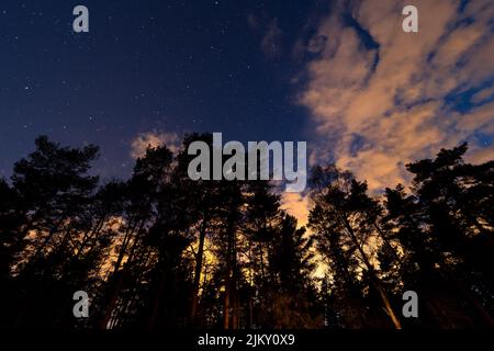 Ein niedriger Winkel von Bäumen gegen Sonnenuntergang, wolkiger, farbenfroher und sternenübersäter Nachthimmel Stockfoto