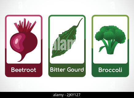 Gemüse-Karteikarten für Kinder. Pädagogische Karten für die Vorschule. Druckbare Vektorgrafik Stock Vektor