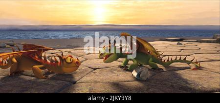 DRACHEN, WIE DU DEINEN DRACHEN TRAINIERST, 2010 Stockfoto