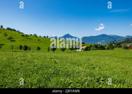 Wiesenlandschaft mit blauem Himmel - Sattel, Schweiz Stockfoto