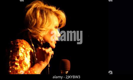 JOAN RIVERS, Joan Rivers: ein Stück Arbeit, 2010 Stockfoto