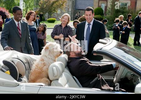 ROCK, RUDOLPH, SPADE, JAMES, SANDLER, GROWN UPS, 2010 Stockfoto