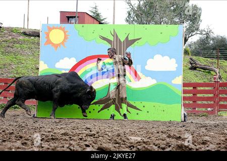 JOHNNY KNOXVILLE, JACKASS 3D, 2010 Stockfoto