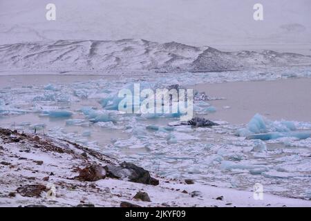 Wunderschöne türkisfarbene und schwarze Eisberge auf dem glazialen Fjallsarlon See mit fernen Bergen in Island. Stockfoto