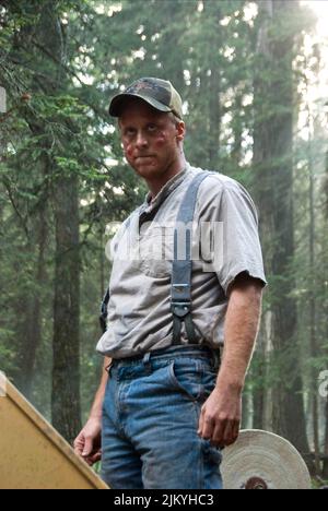 ALAN TUDYK, TUCKER AND DALE VS EVIL, 2010 Stockfoto