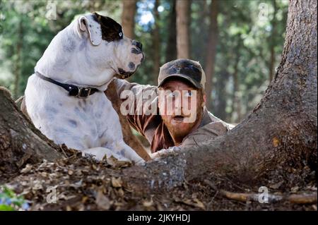 ALAN TUDYK, TUCKER AND DALE VS EVIL, 2010 Stockfoto