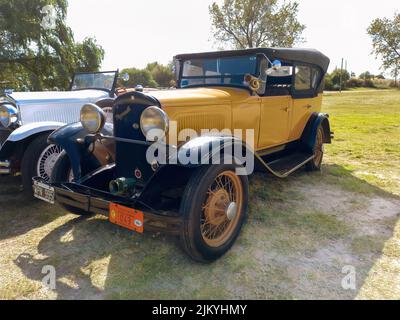 Chascomus, Argentinien - 9. Apr 2022: Altes gelbes Chrysler Plymouth phaeton vier Türen um 1930 auf dem Land geparkt. Natur Gras und Bäume backgr Stockfoto