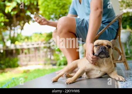 Ein Mann, der im Freien sitzt und seine niedliche französische Bulldogge streichelt Stockfoto