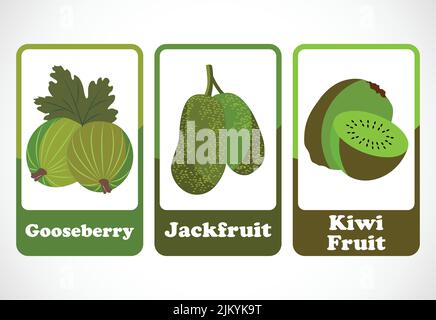 Obst-Karteikarten für Kinder. Pädagogische Karten für die Vorschule. Druckbare Vektorgrafik Stock Vektor