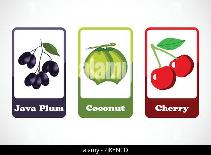 Obst-Karteikarten für Kinder. Pädagogische Karten für die Vorschule. Druckbare Vektorgrafik Stock Vektor