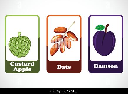 Obst-Karteikarten für Kinder. Pädagogische Karten für die Vorschule. Druckbare Vektorgrafik Stock Vektor
