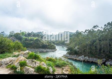 Fluss neben der Küste in Bufones de Pria in der Stadt Llanes. Asturien. Spanien Stockfoto