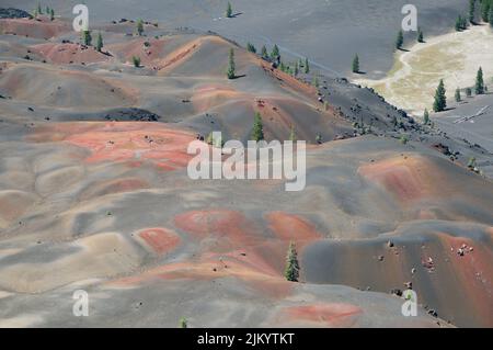 Eine wunderschöne Aussicht auf Bäume, die auf einem farbenfrohen Bergfeld im Lassen Volcanic National Park, Kalifornien wachsen Stockfoto