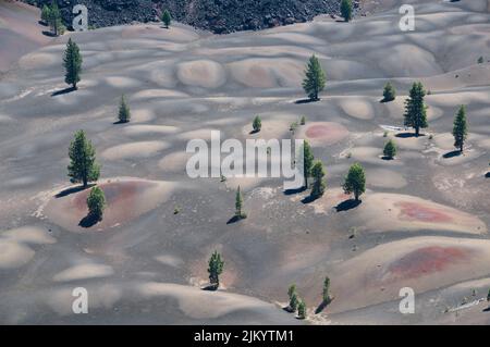 Eine wunderschöne Aussicht auf Bäume, die auf einem farbenfrohen Bergfeld im Lassen Volcanic National Park, Kalifornien wachsen Stockfoto