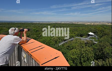 03. August 2022, Thüringen, Schönstedt: Der Baumwipfelpfad im Nationalpark Hainich. Bisher haben in diesem Jahr mehr als 68.000 Menschen eine Tour auf dem Baumwipfelpfad unternommen. Der rund 500 Meter lange Weg führt auf bis zu 44 Metern Höhe entlang der Gipfel von Laubbäumen wie Buche, Esche und Ahorn. Der Baumwipfelpfad wurde 2005 eröffnet. Mit einer Fläche von 130 Quadratkilometern gilt der Hainich im Nordwesten Thüringens als das größte zusammenhängende Laubwaldgebiet Deutschlands. Foto: Martin Schutt/dpa Stockfoto