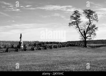 Eine Graustufenaufnahme des Antietam National Battlefield Stockfoto